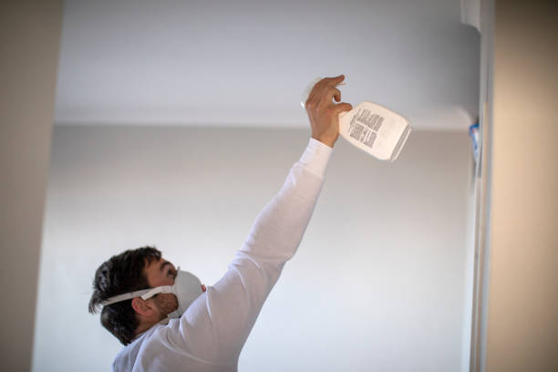 Best Mold Remediation for Schools in Cornish, ME