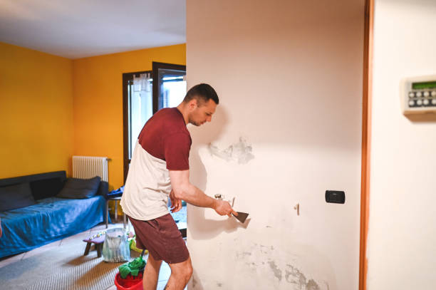 Trusted Cornish, ME Mold Remediation Experts